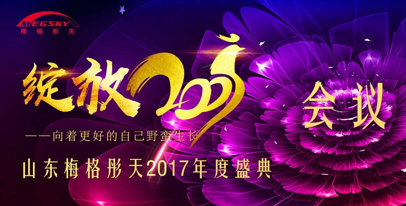2017梅格电气公司会议