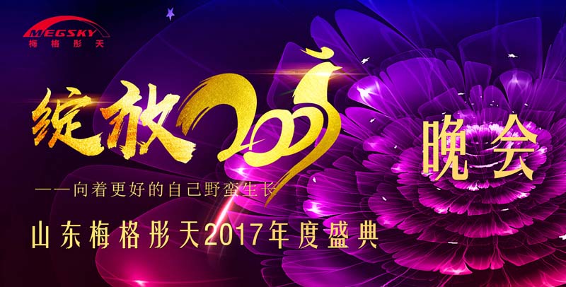 2017梅格电气公司年会
